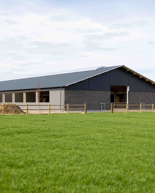 Nieuwe stal van het hippisch complex in Koningsbosch met weiland