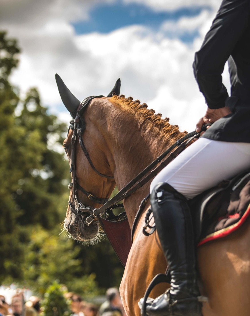Ruiter in rijkleding op een bruin paard