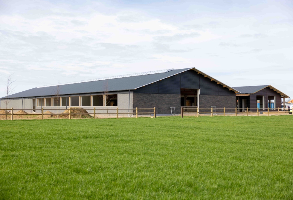 Nieuwe stal van het hippisch complex in Koningsbosch met weiland